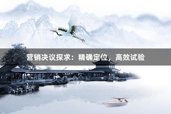 营销决议探求：精确定位，高效试验