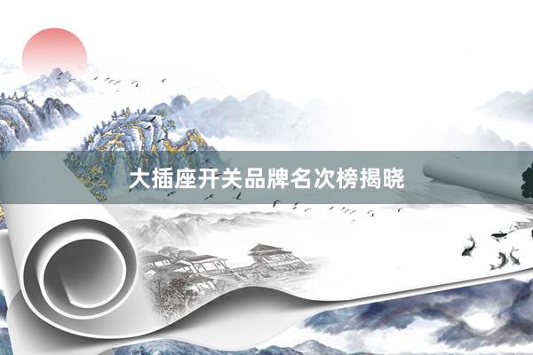 大插座开关品牌名次榜揭晓